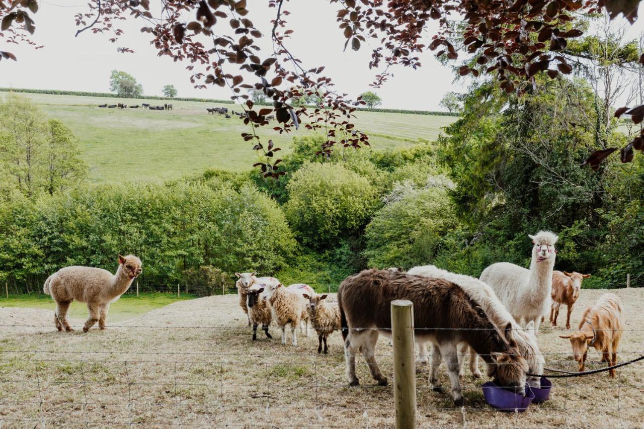 Smeaton Farm Luxury B&B セント・メスリオン エクステリア 写真